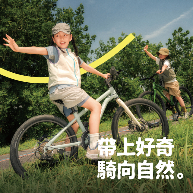20寸青少年山地车铝合金