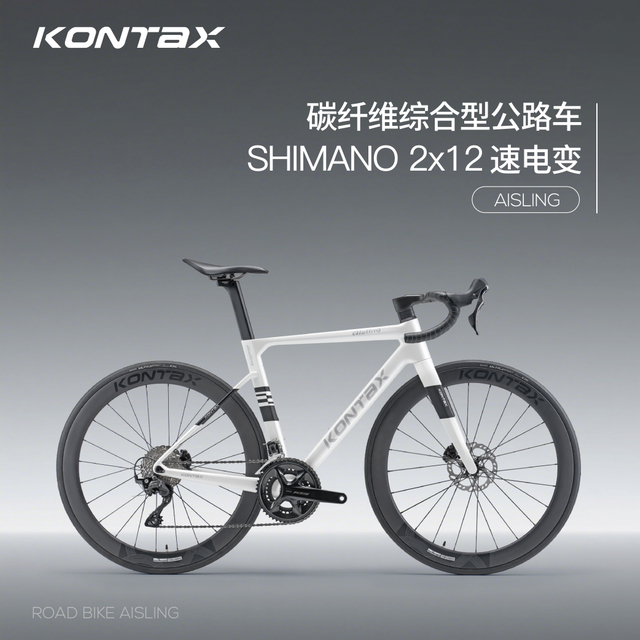 RS40 碳纤维弯把公路车
